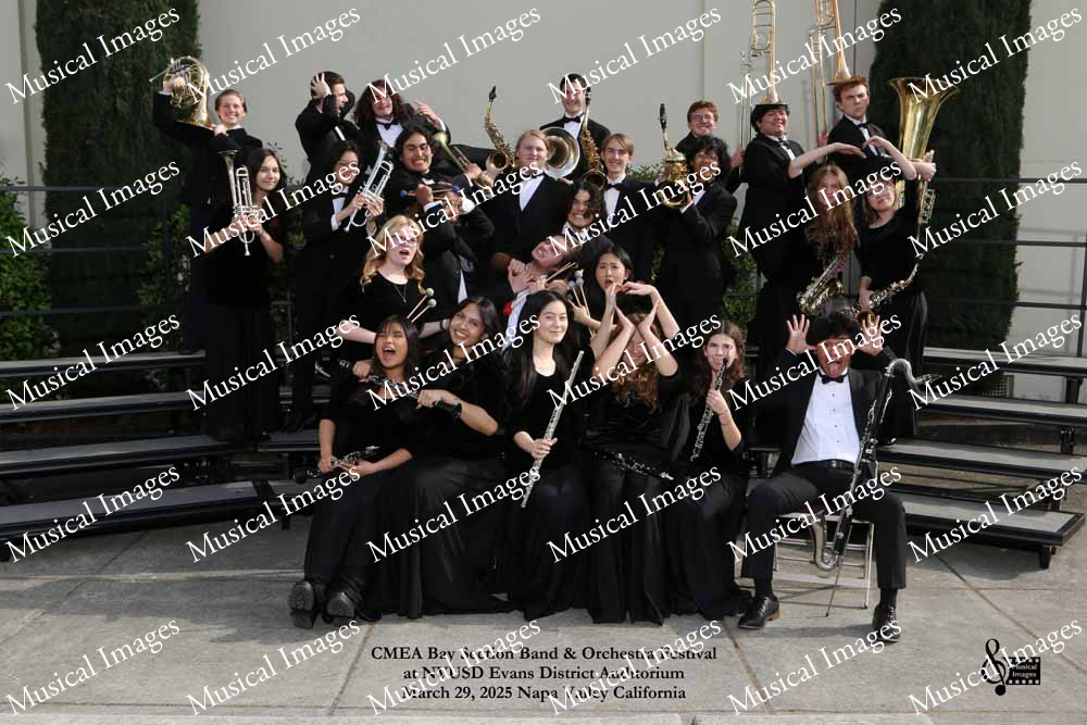 Musical Images